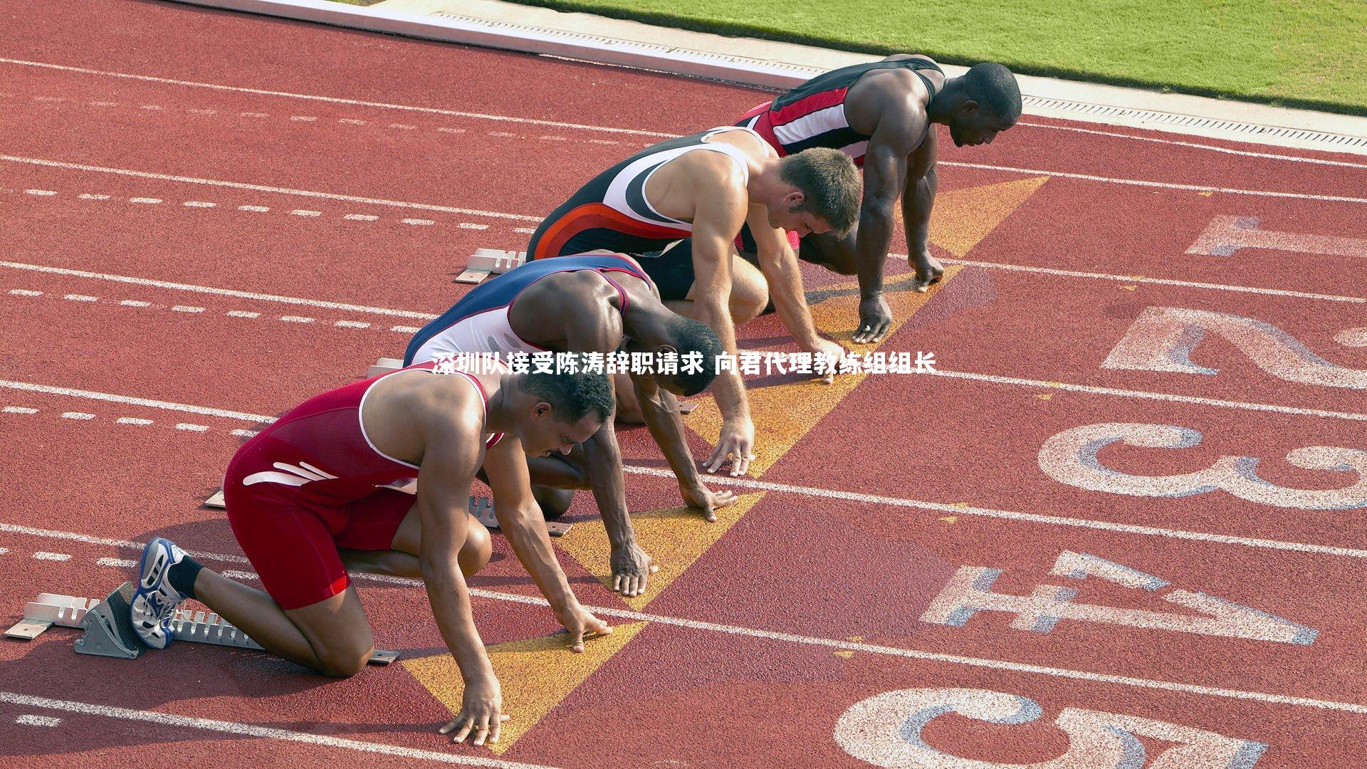 深圳队接受陈涛辞职请求 向君代理教练组组长